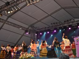 Festival de Folkore en Mula